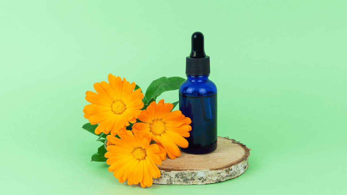 Top 7 Benefits of Marigold Extract for Skin Clinikally