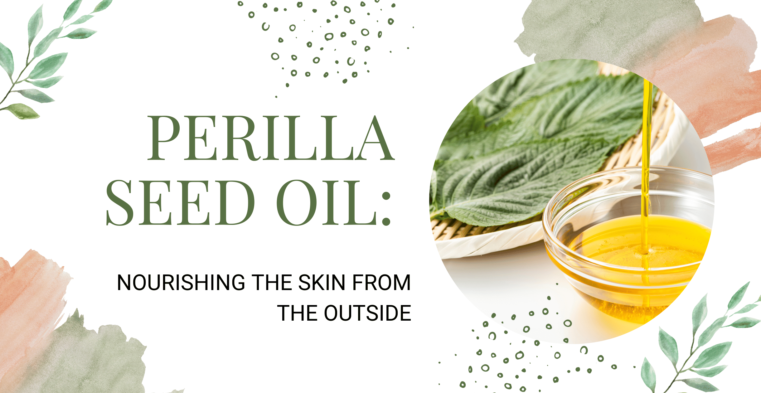 perilla-seed-oil-nourishing-the-skin-from-the-outside-clinikally