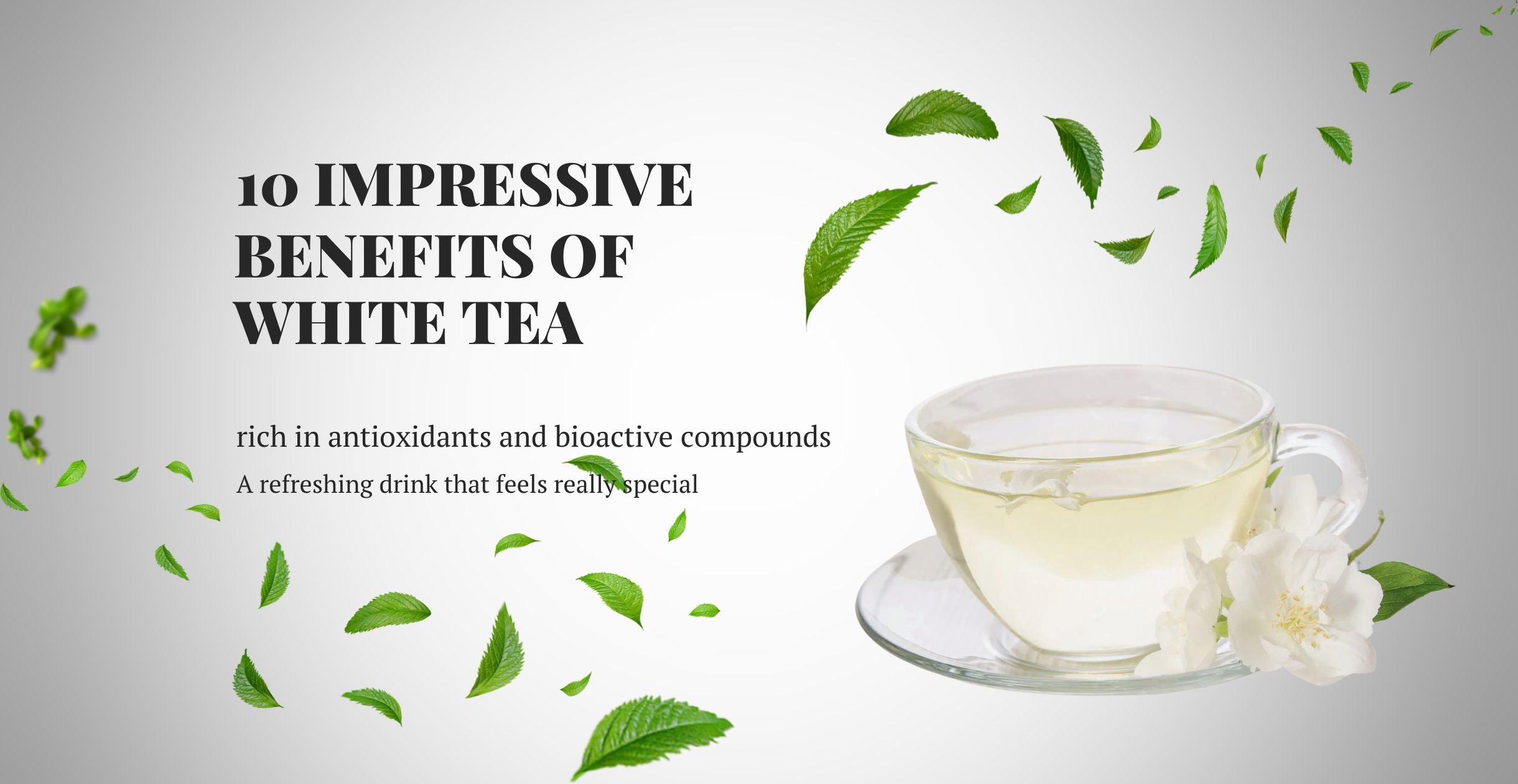 10 Impressive Benefits of White Tea