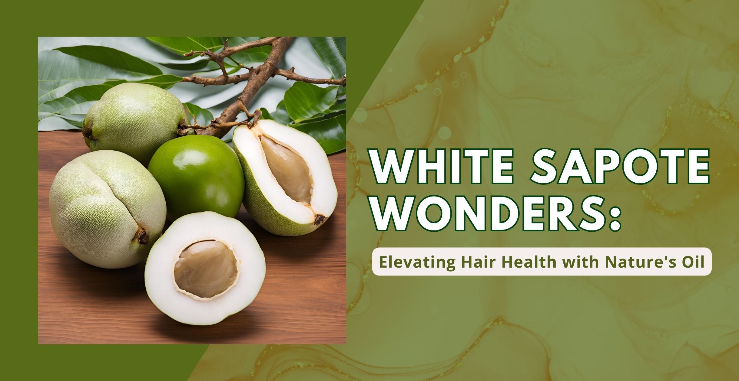 White Sapote Wonders: Elevating Hair Health with Nature's Oil