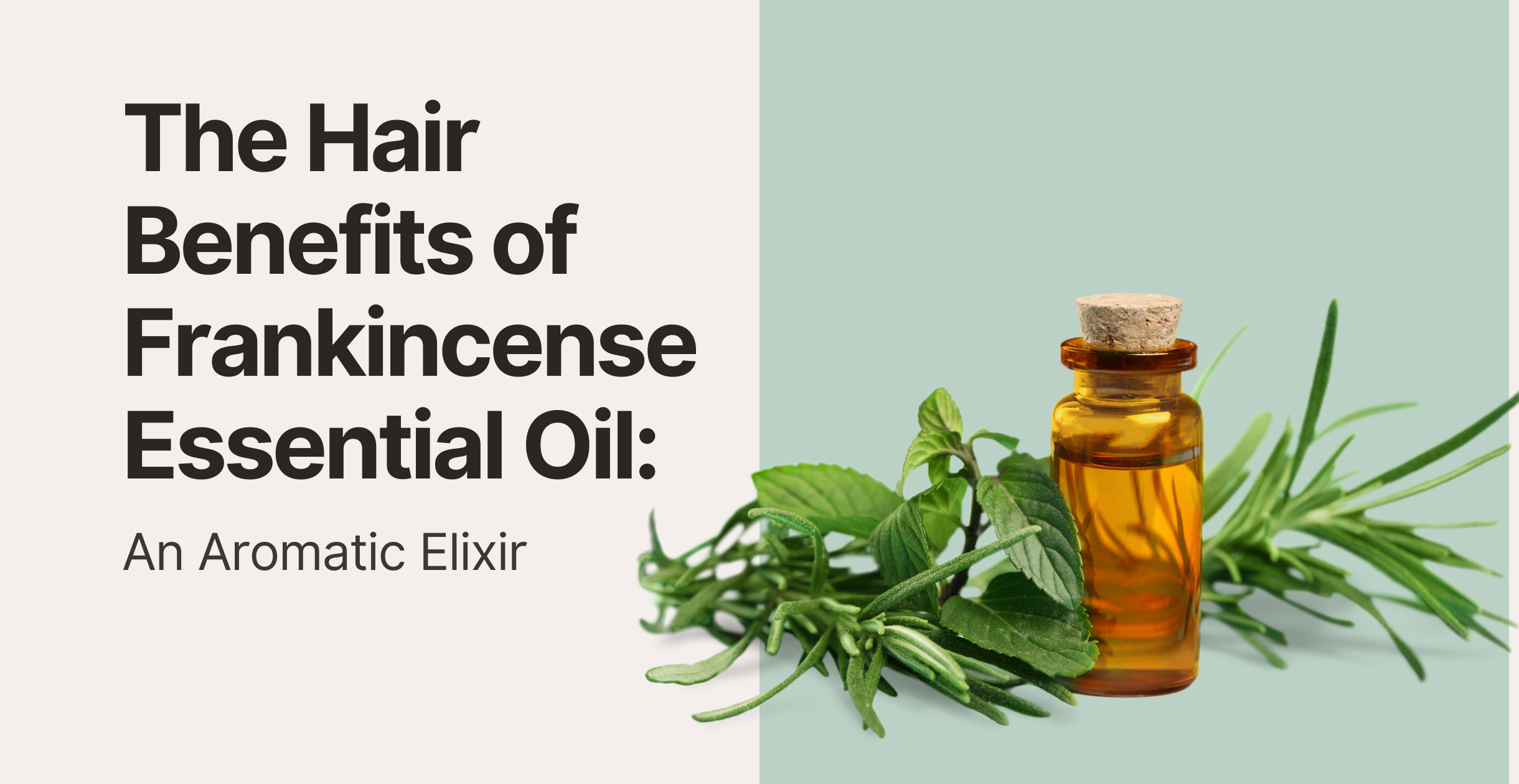 The Hair Benefits of Frankincense Essential Oil: An Aromatic Elixir