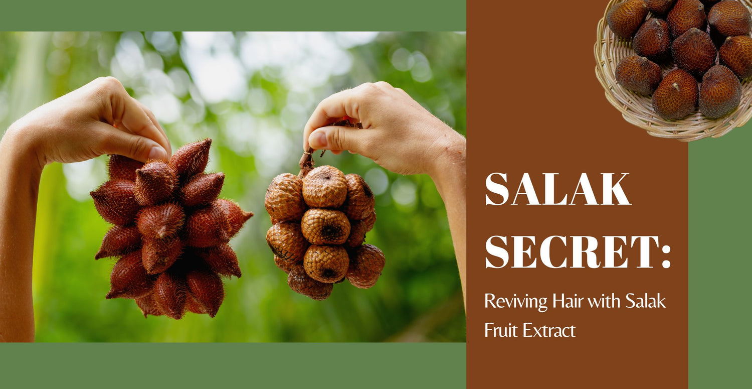 Salak Secret: Reviving Hair with Salak Fruit Extract