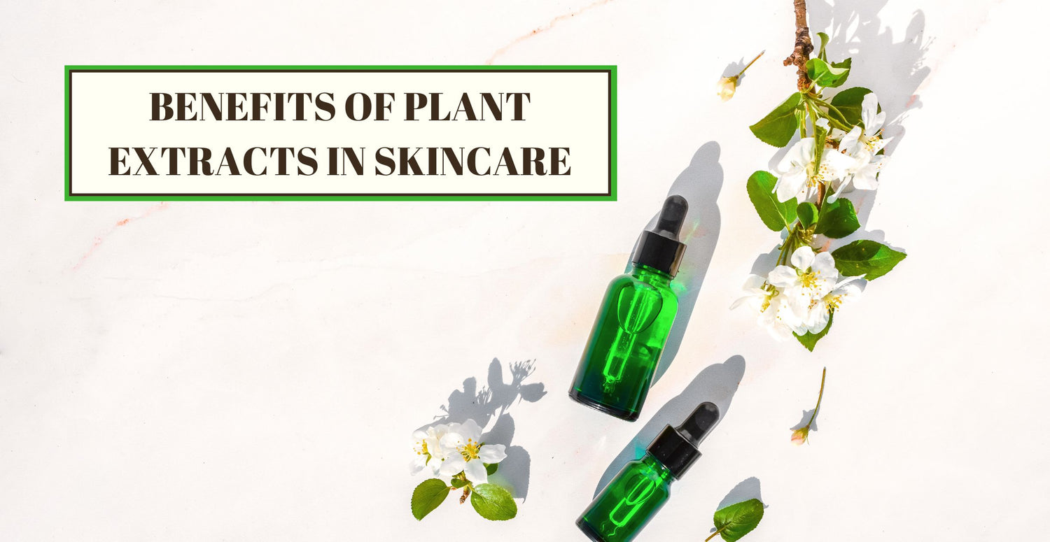 Benefits of Plant Extracts in Skincare