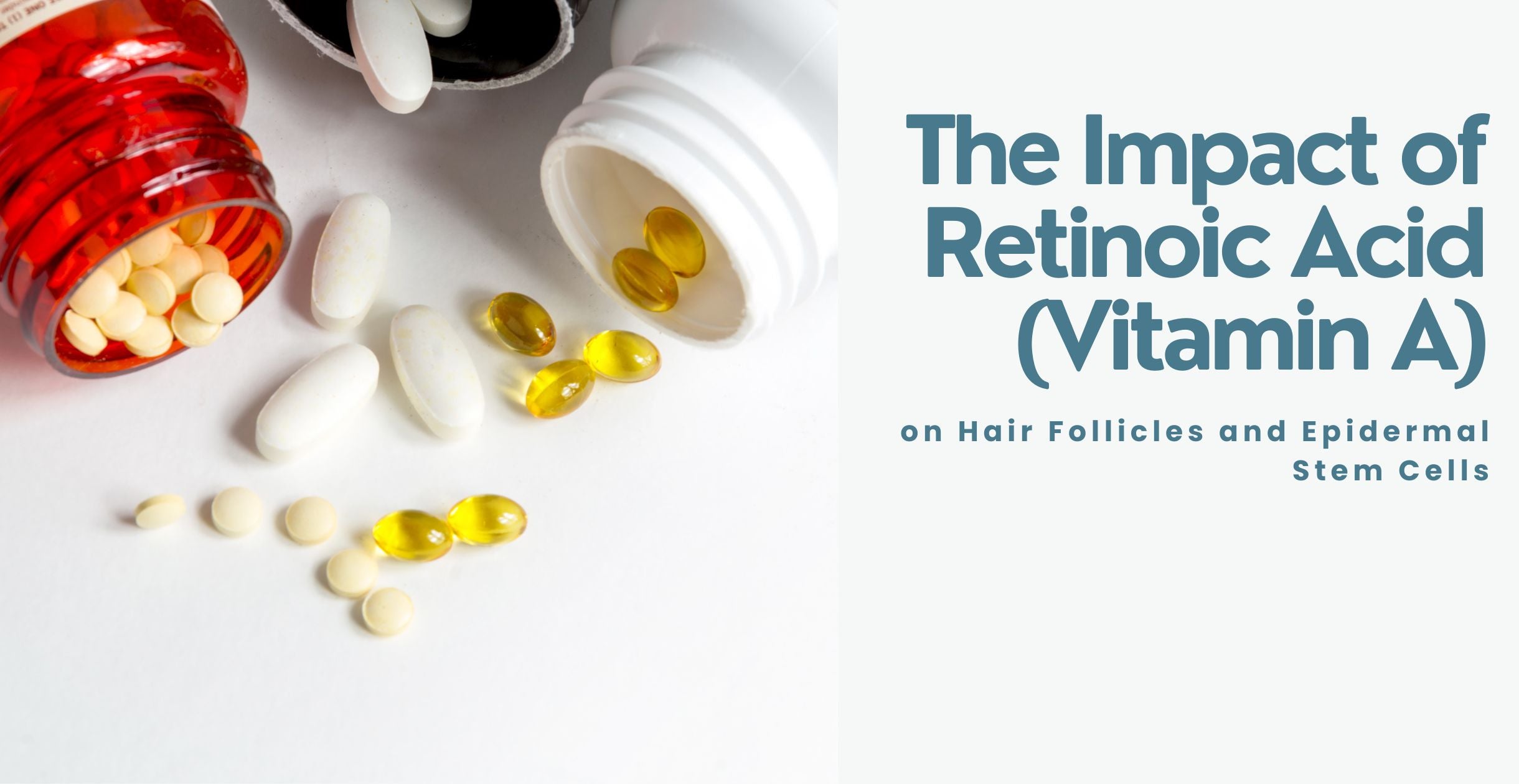 The Impact of Retinoic Acid (Vitamin A) on Hair Follicles and Epidermal Stem Cells