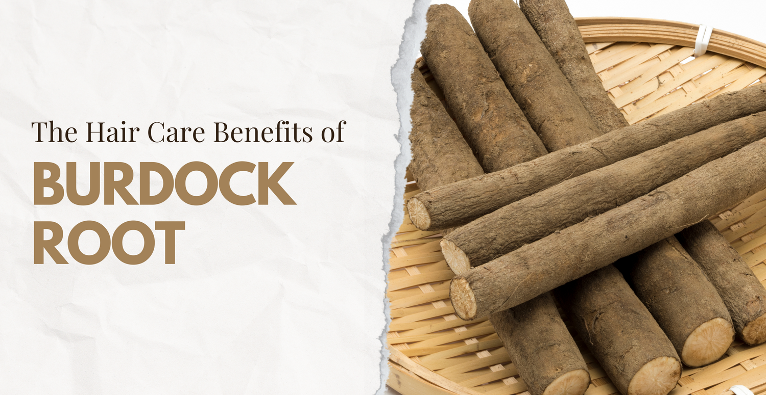 The Hair Care Benefits of Burdock Root