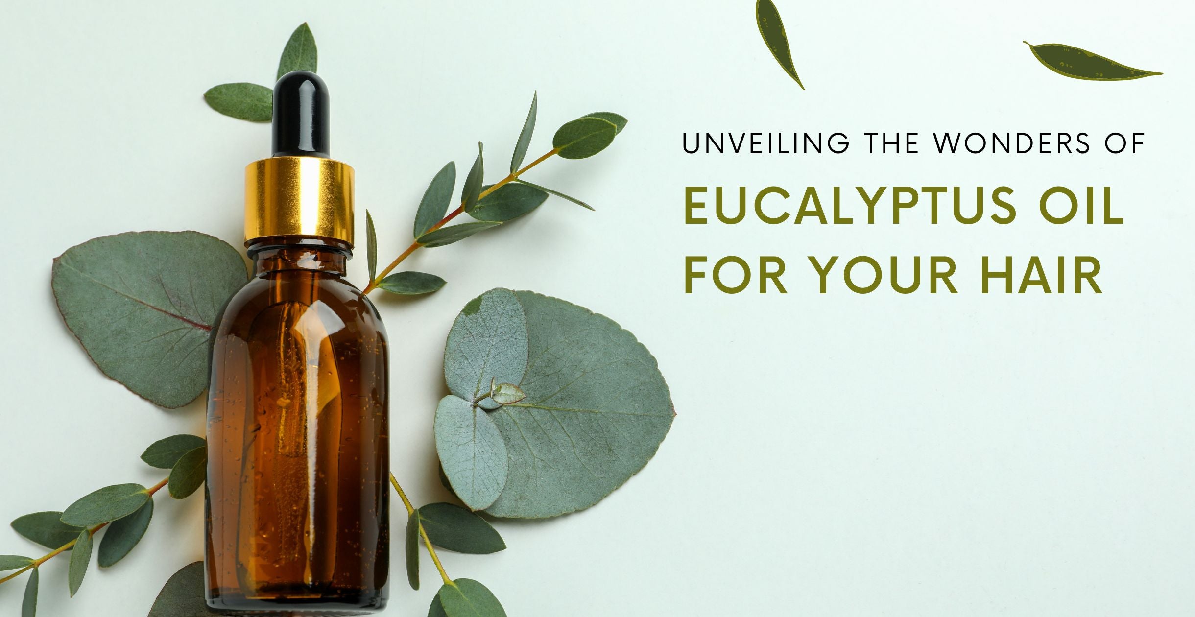 Unveiling the Wonders of Eucalyptus Oil for Your Hair