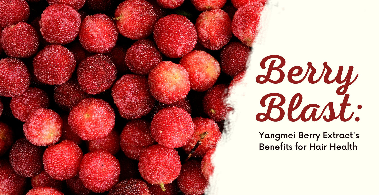 Berry Blast: Yangmei Berry Extract's Benefits for Hair Health