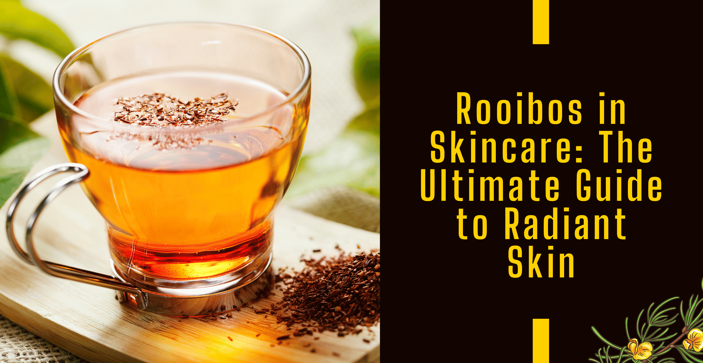 Rooibos in Skincare: The Ultimate Guide to Radiant Skin  Clinikally