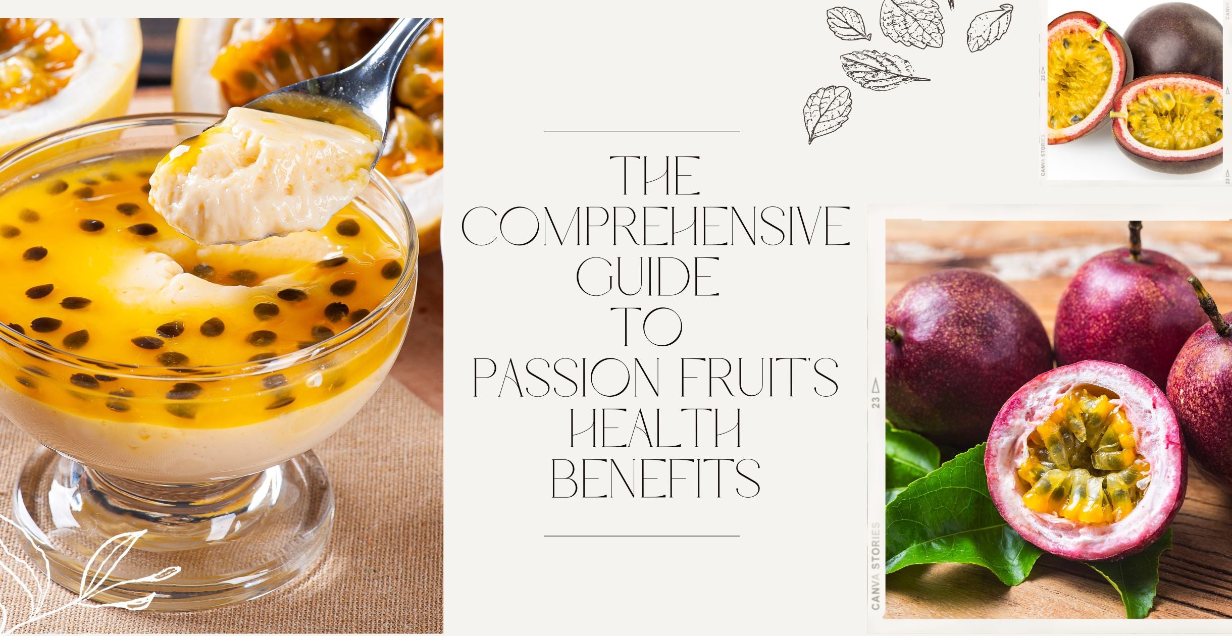 The Comprehensive Guide to Passion Fruit s Health Benefits