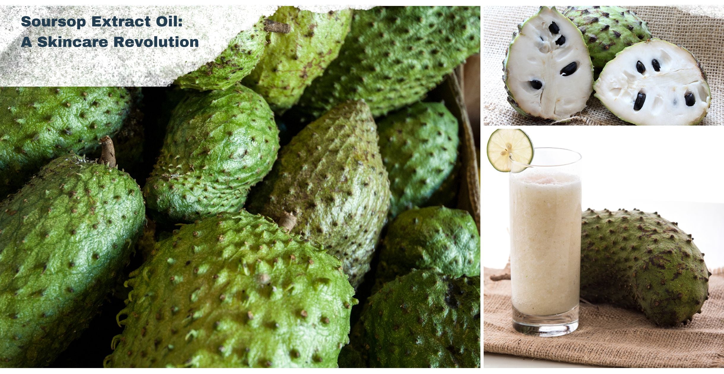 Soursop Extract Oil: A Skincare Revolution