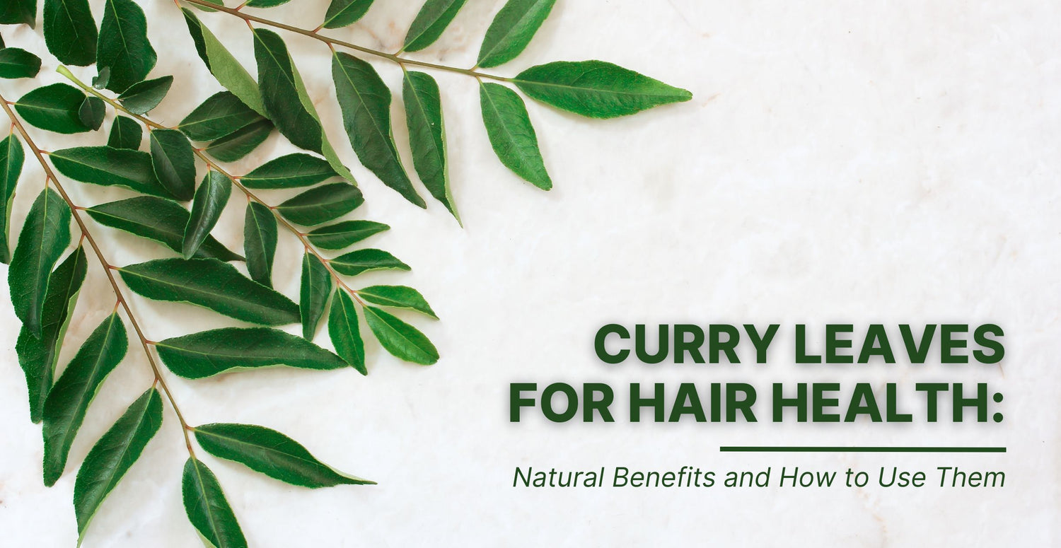 Curry Leaves for Hair Health: Natural Benefits and How to Use Them