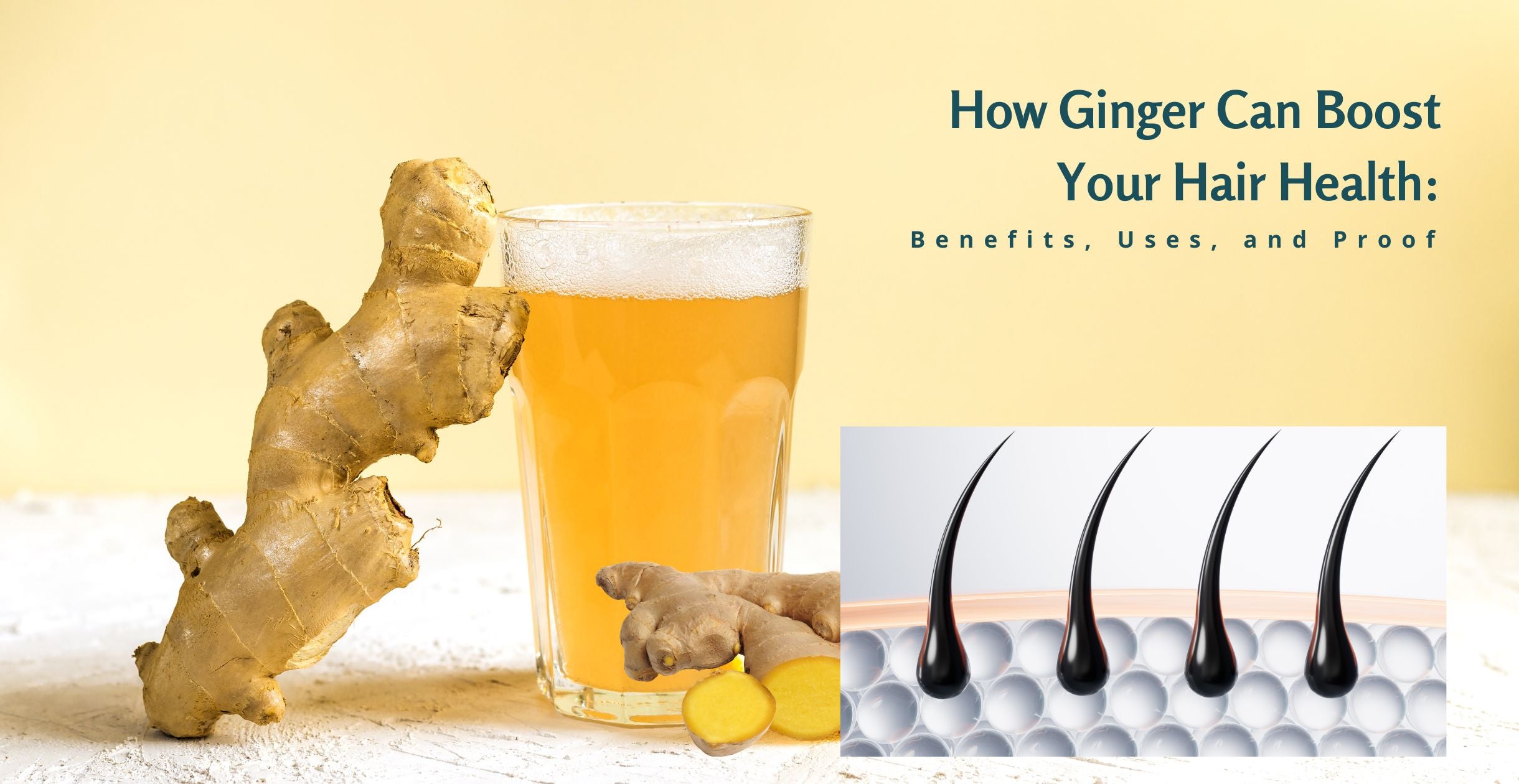 How Ginger Can Boost Your Hair Health: Benefits, Uses, and Proof