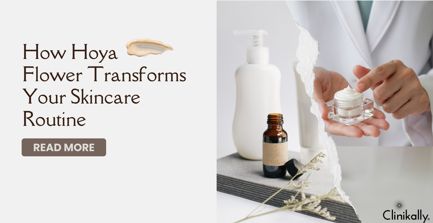 How Hoya Flower Transforms Your Skincare Routine
