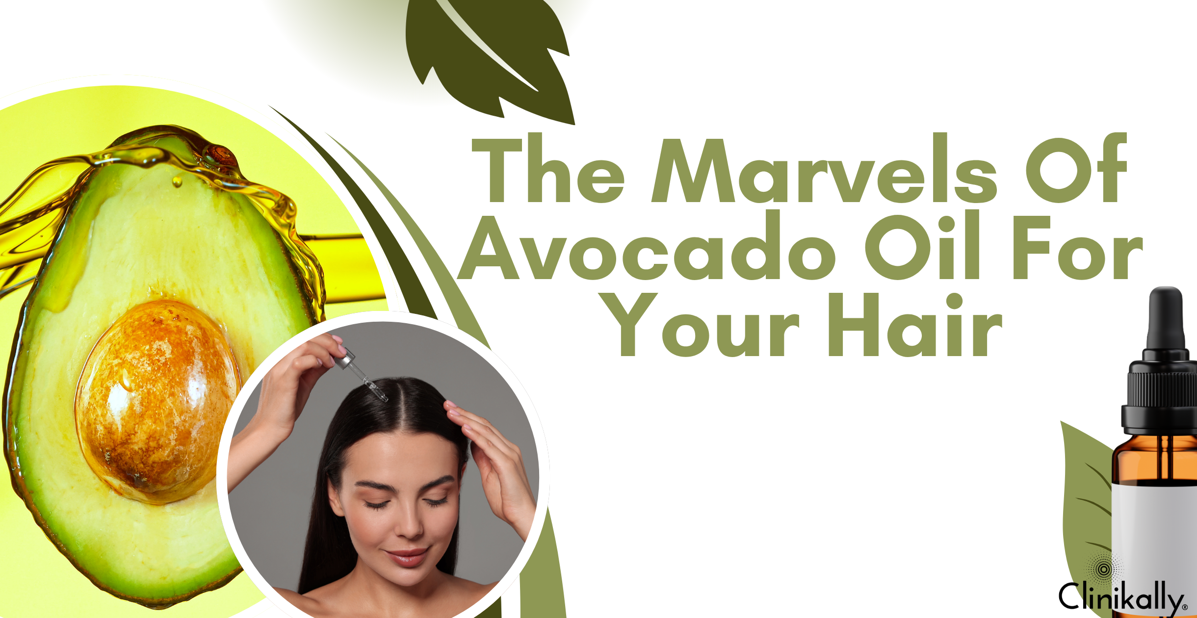 The Marvels of Avocado Oil for your hair