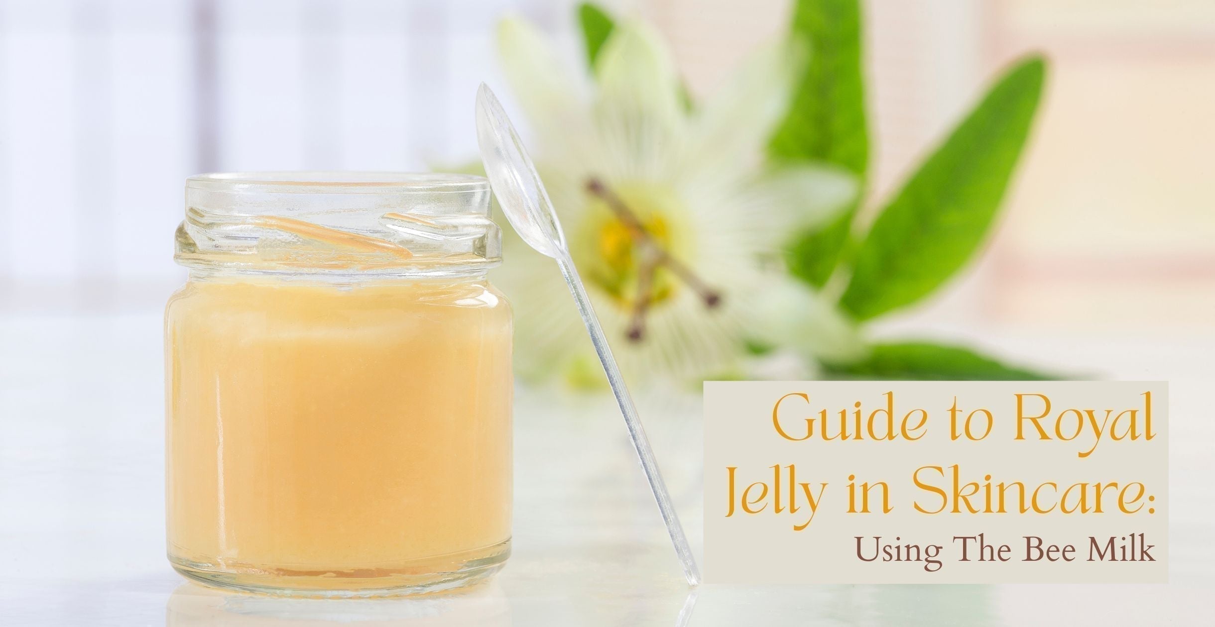 Guide to Royal Jelly in Skincare: Using The Bee Milk 