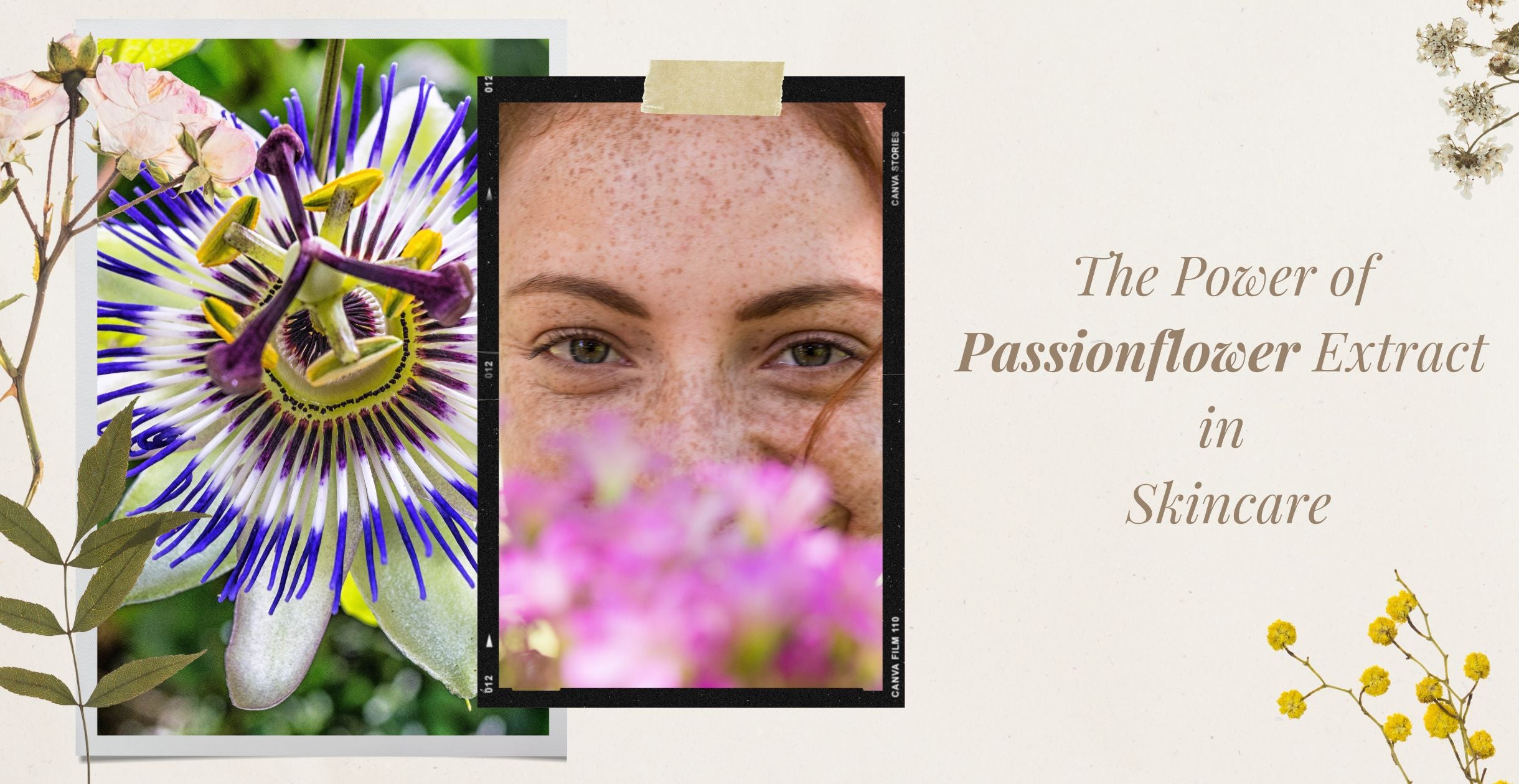 The Power of Passionflower Extract in Skincare