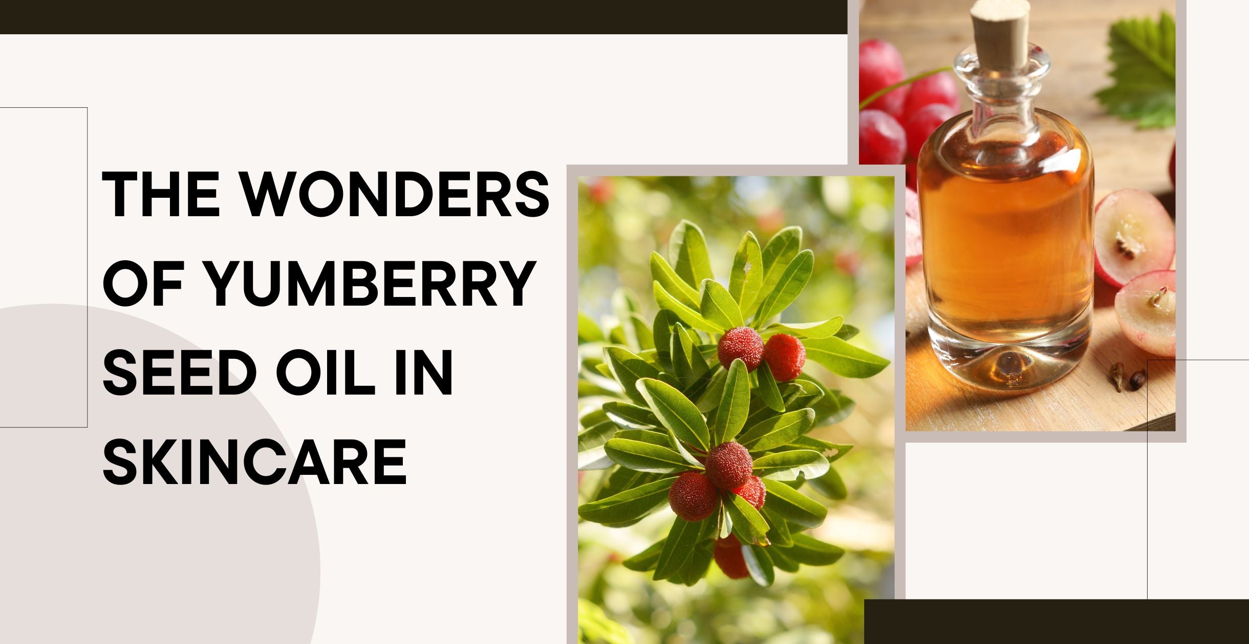 The Wonders of Yumberry Seed Oil in Skincare