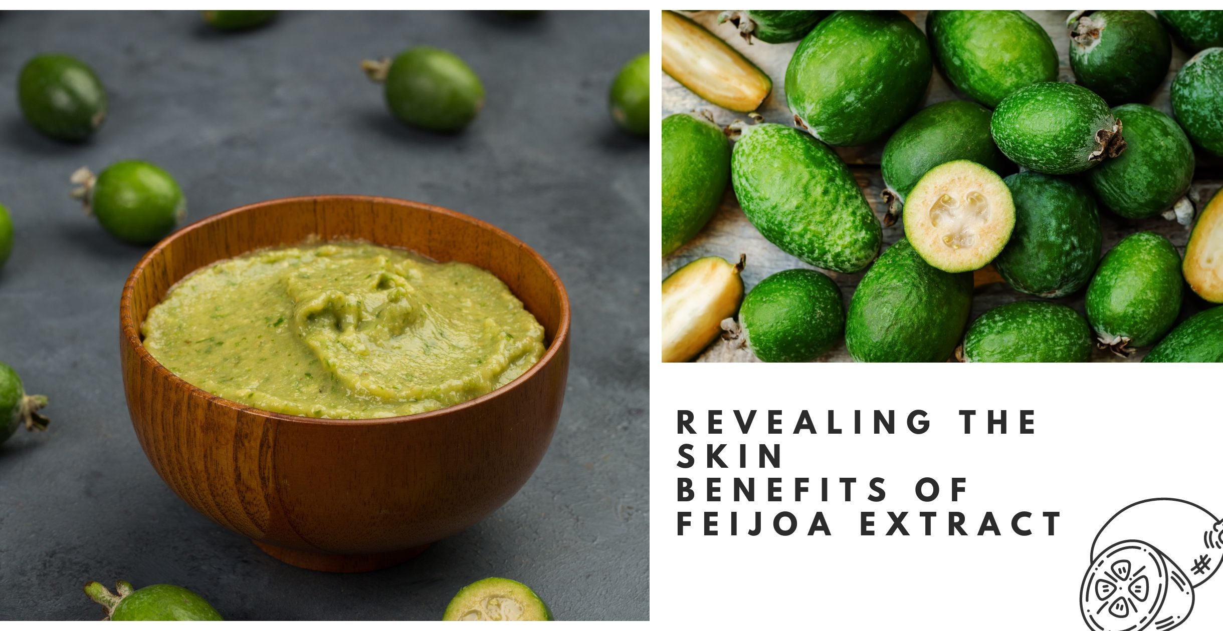 Revealing the Skin Benefits of Feijoa Extract
