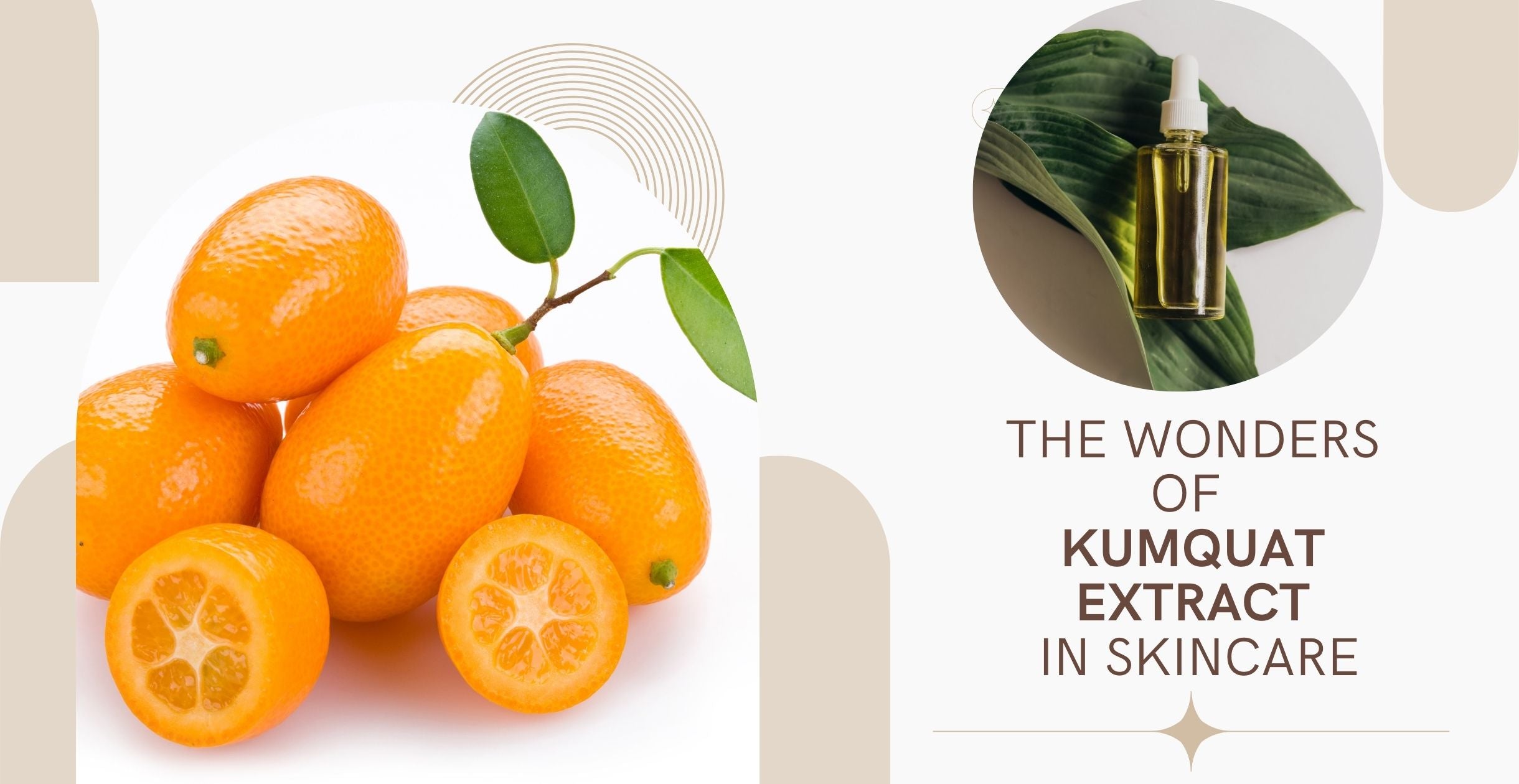 The Wonders of Kumquat Extract in Skincare