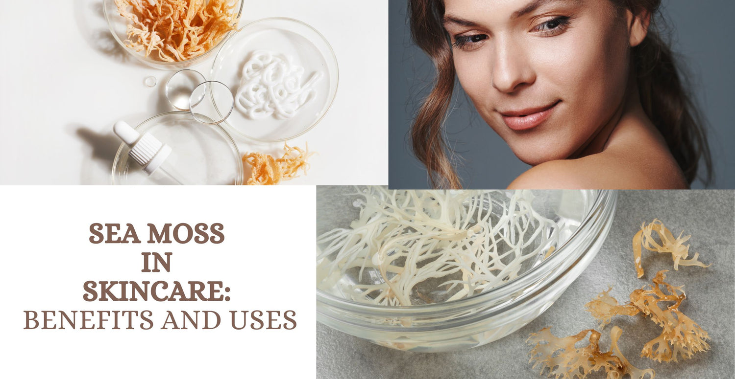 Sea Moss in Skincare: Benefits and Uses