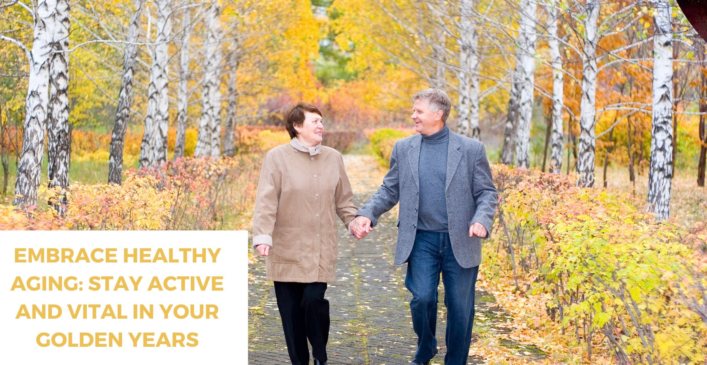 Embrace Healthy Aging: Stay Active and Vital in Your Golden Years