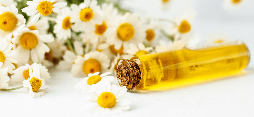 Calming Power of Bisabolol for Skin Care