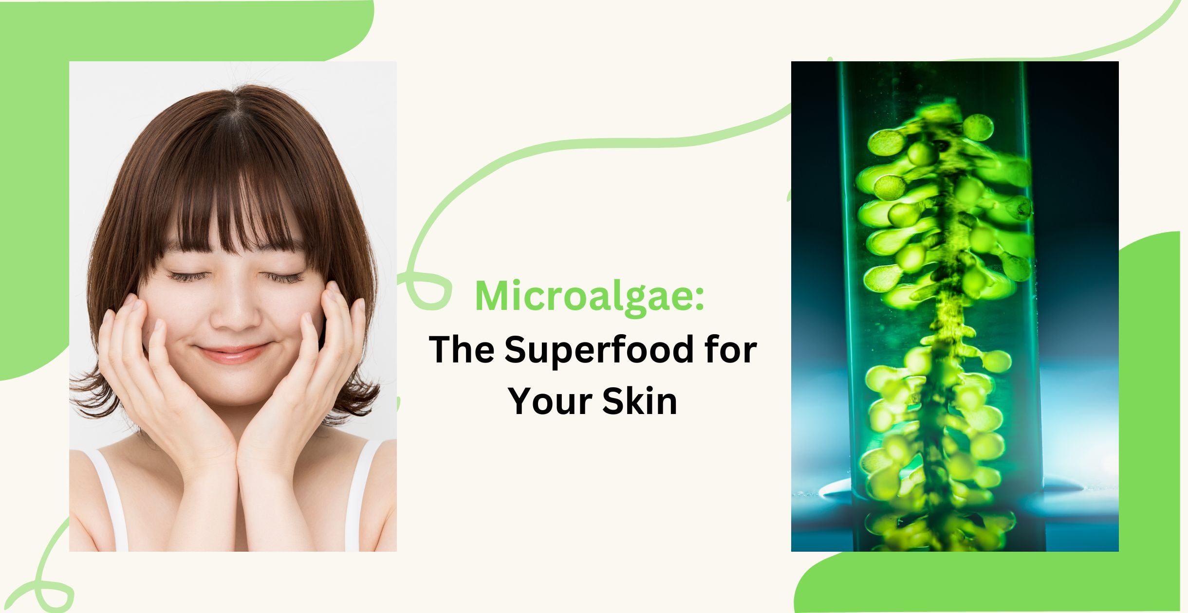 Microalgae: The Superfood for Your Skin