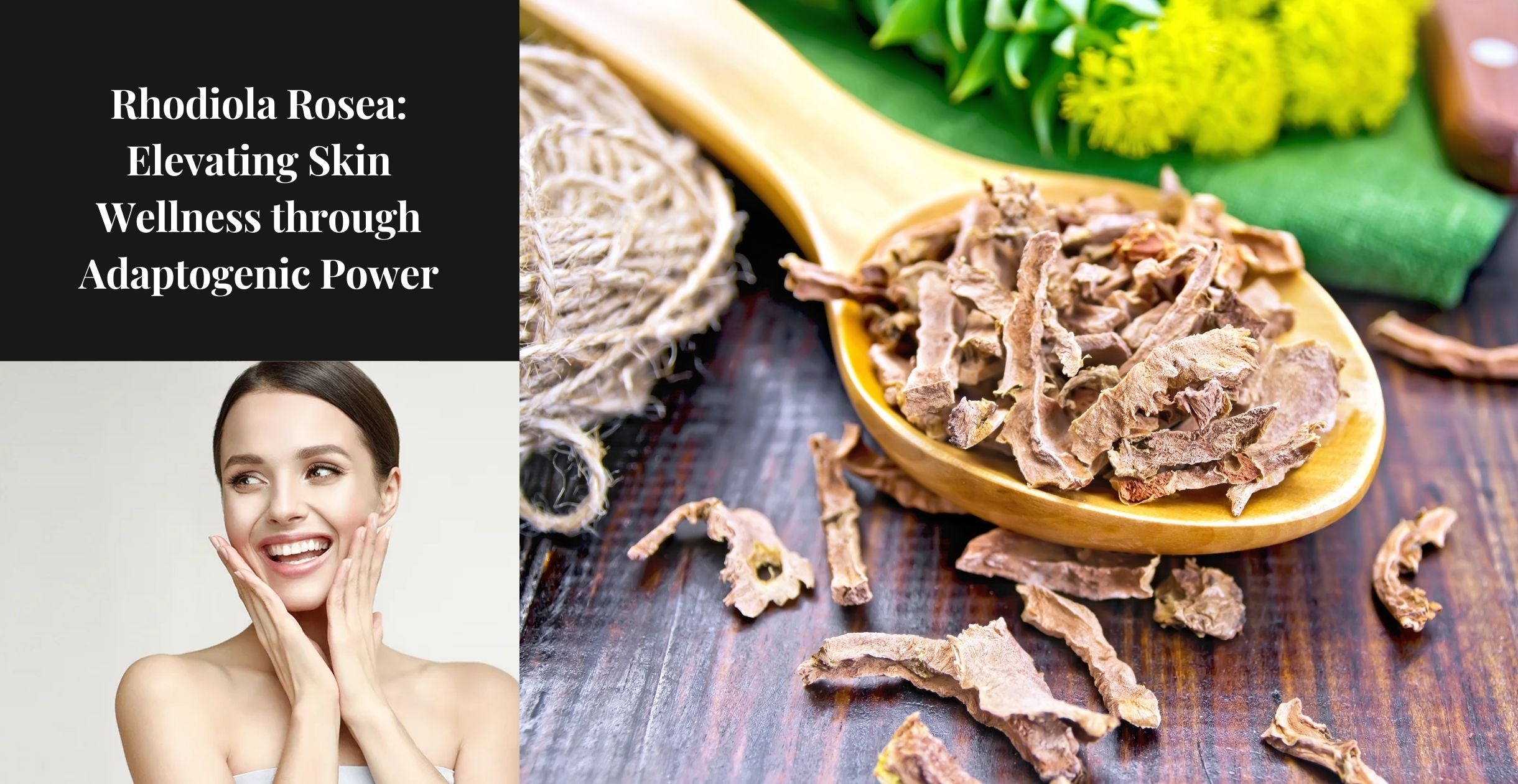 Rhodiola Rosea: Elevating Skin Wellness through Adaptogenic Power
