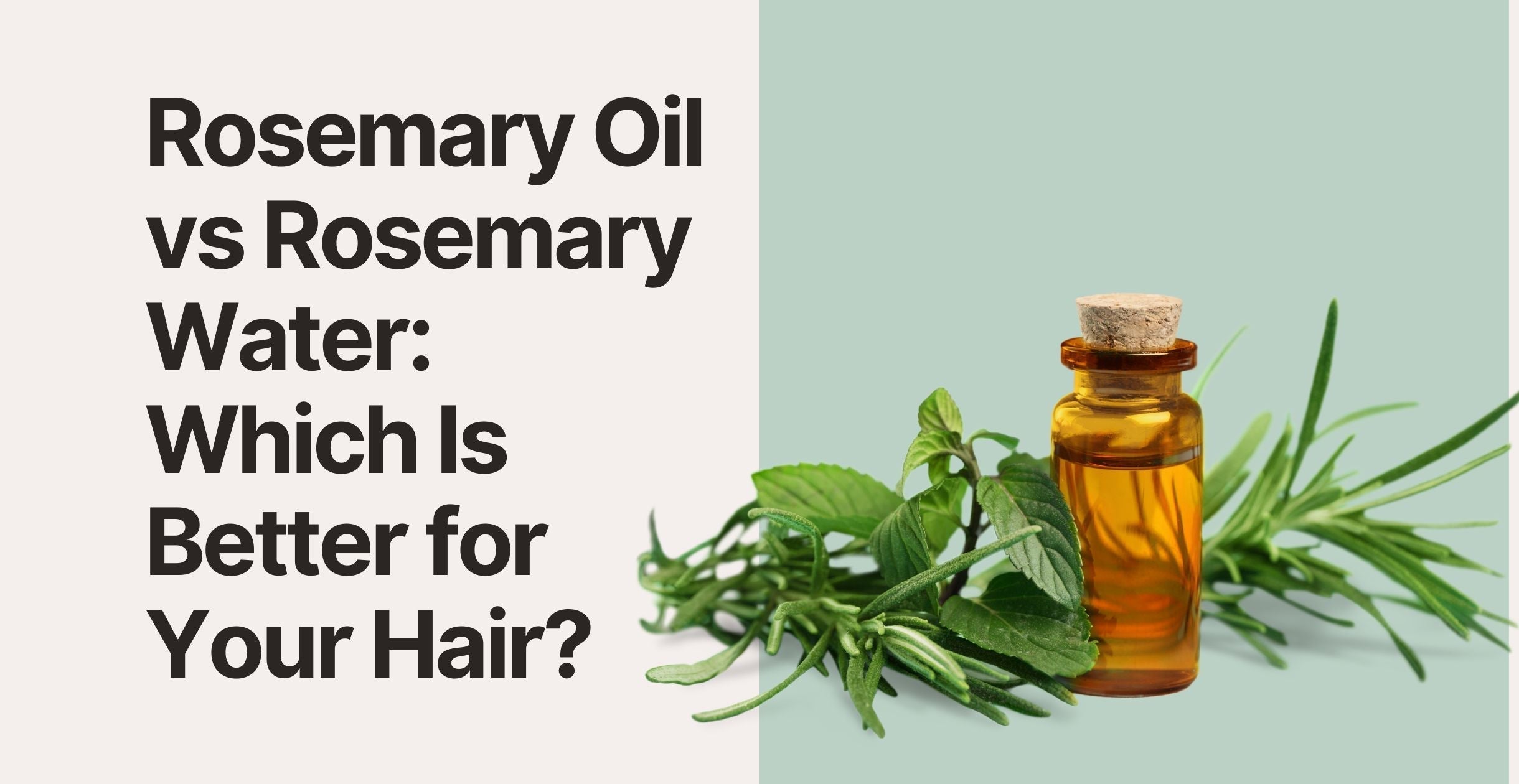 Rosemary Oil vs Rosemary Water: Which Is Better for Your Hair?
