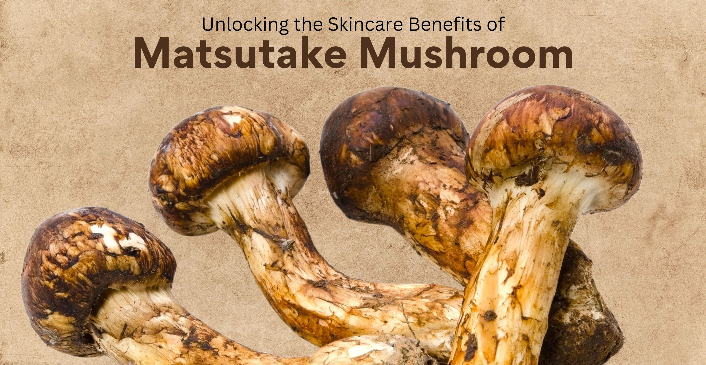 Unlocking the Skincare Benefits of Matsutake Mushroom