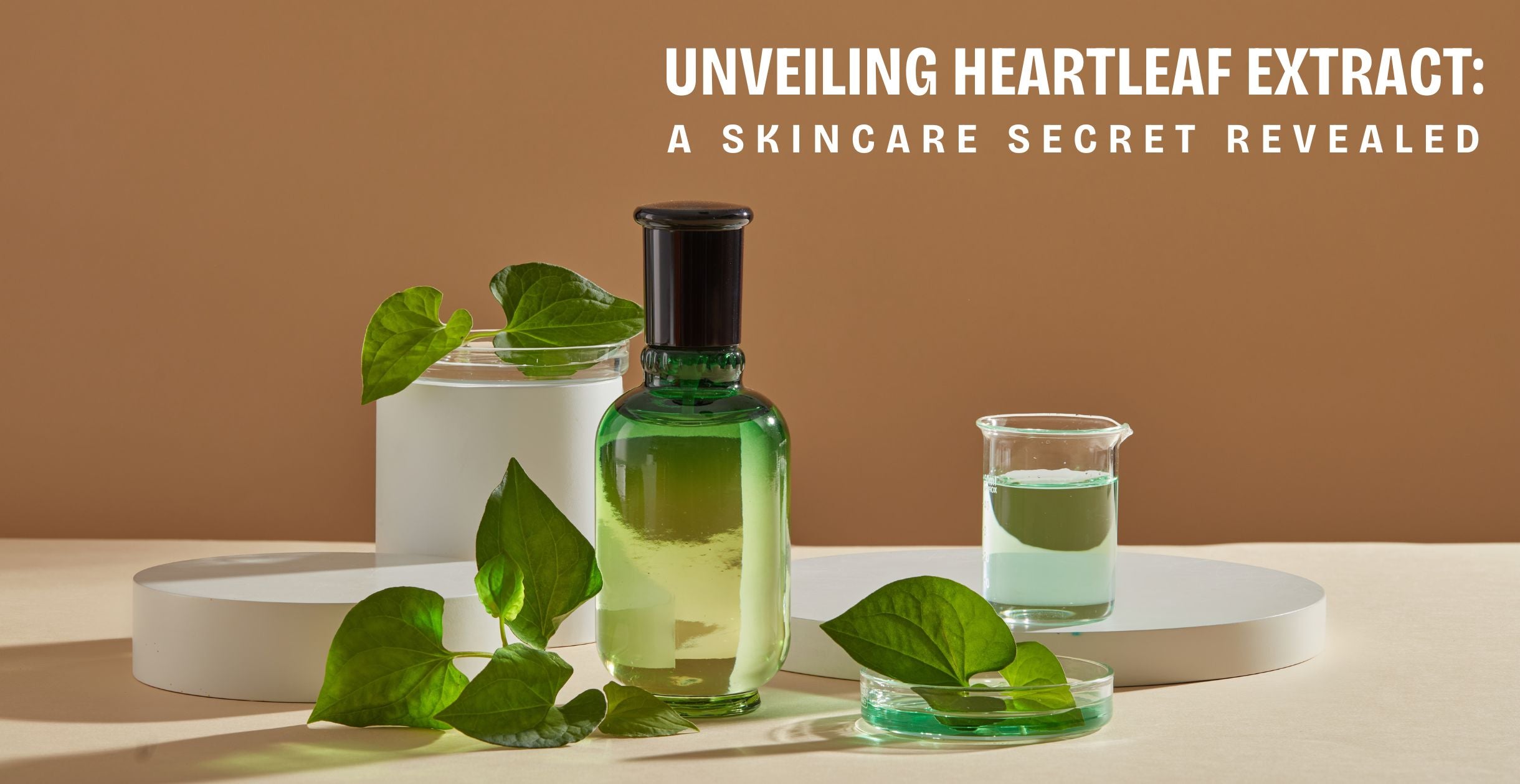 Unveiling Heartleaf Extract: A Skincare Secret Revealed