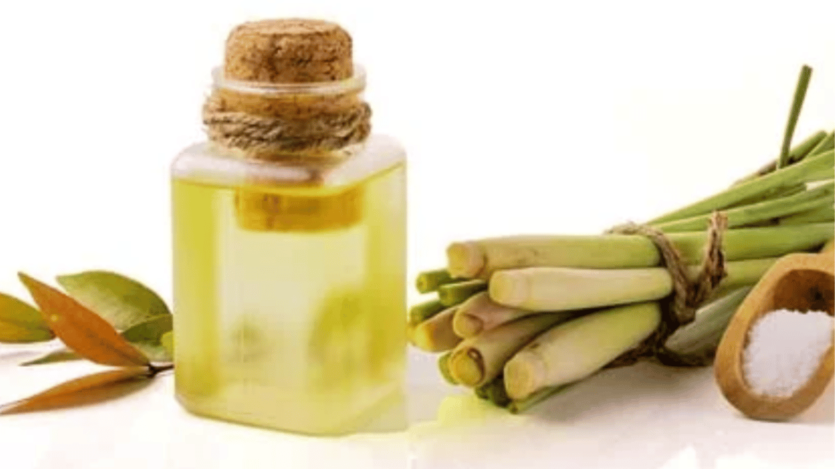 citronella oil benefits