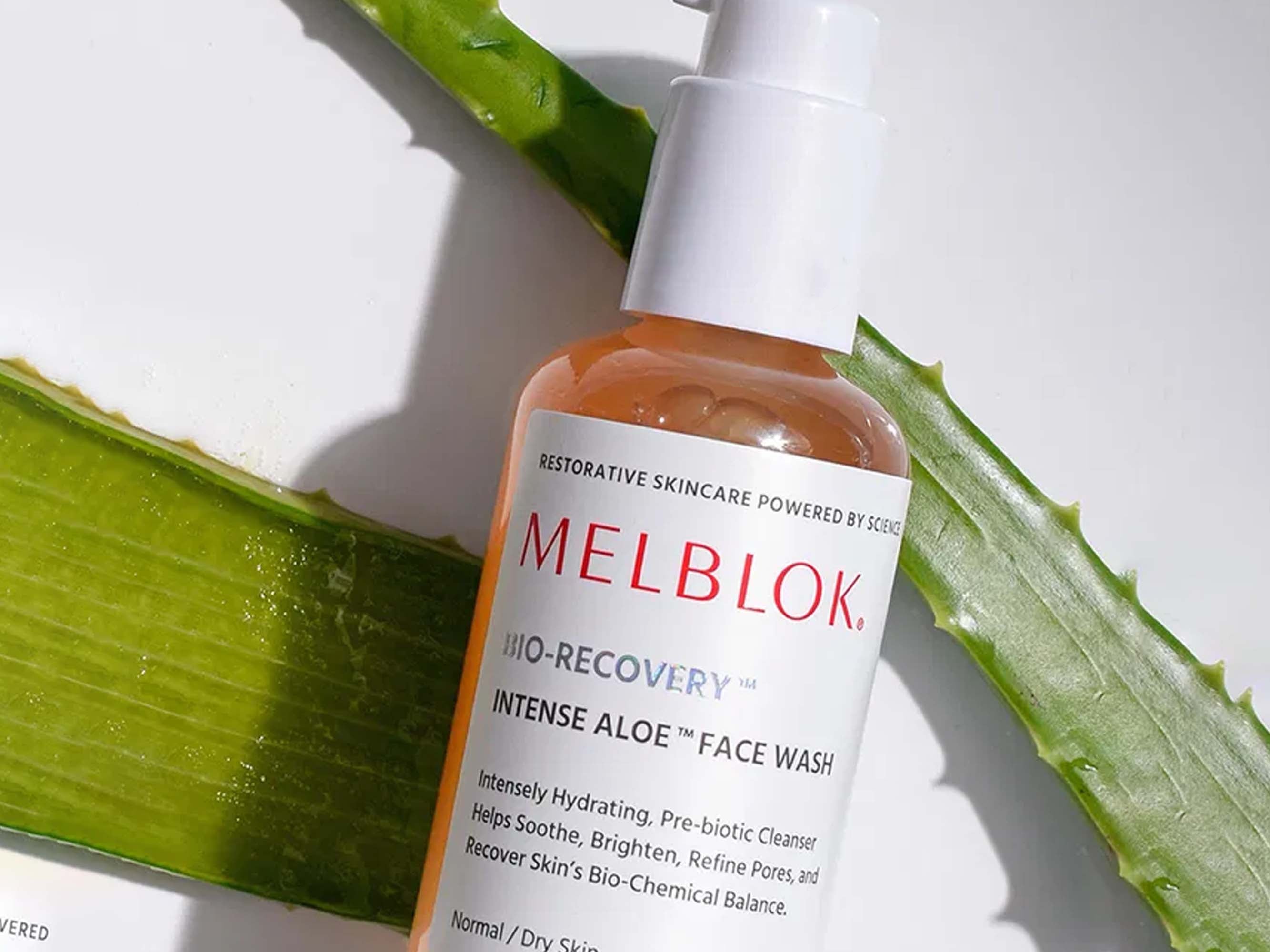 Melblok Bio-Recovery Intense Aloe Face Wash