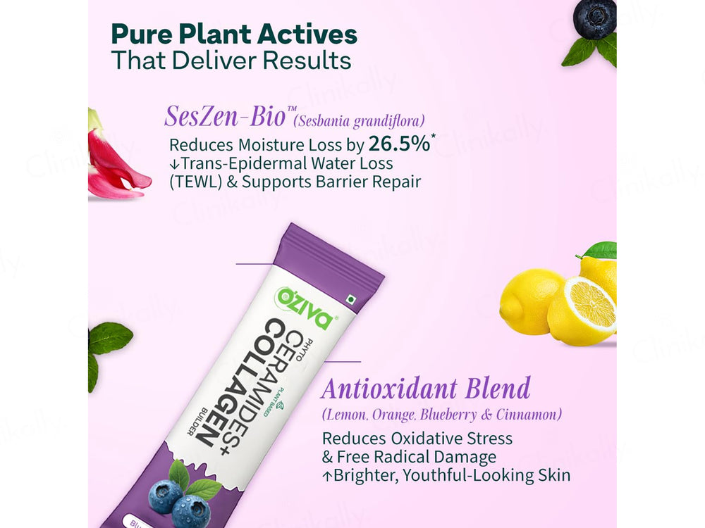 OZiva Phyto Ceramides + Collagen Builder Powder - Blueberry Flavour