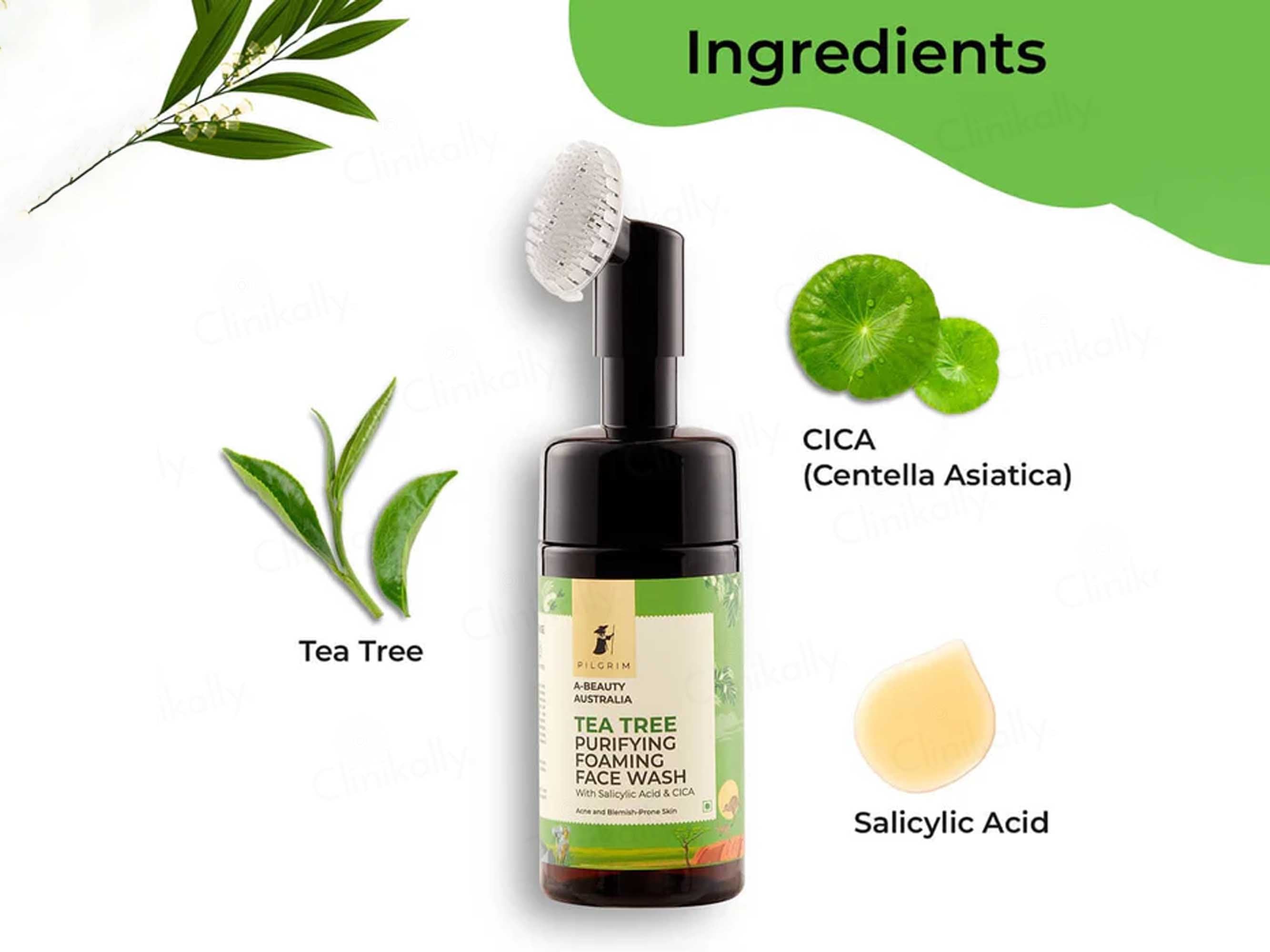 Pilgrim Tea Tree Purifying Foaming Face Wash