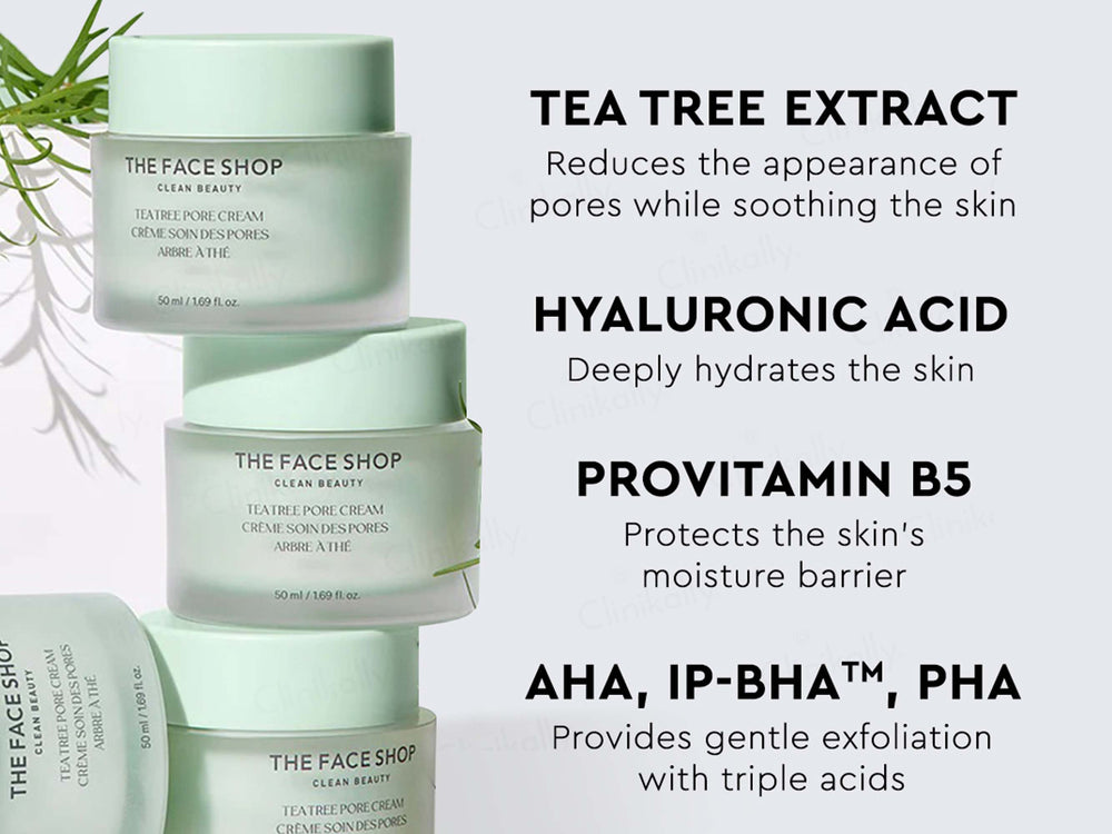 The Face Shop Tea Tree Pore Cream